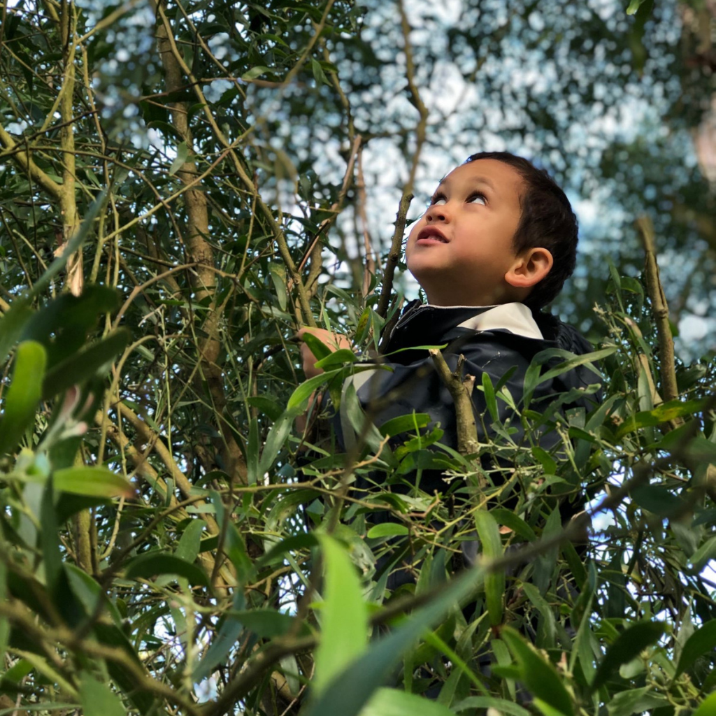 Fun Family Outdoor Activities Blog | All Natural Mums