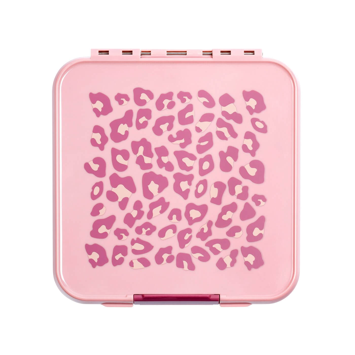 Little Lunch Box Co Bento Three Leopard