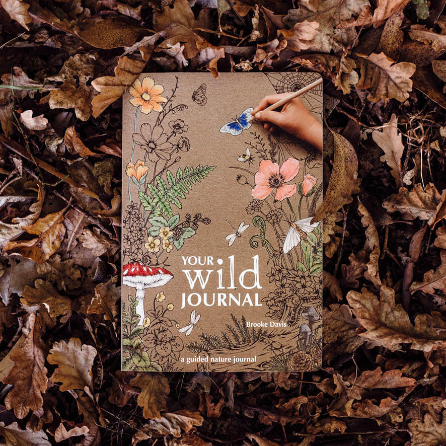 Your Wild Journal cover a guided nature journal